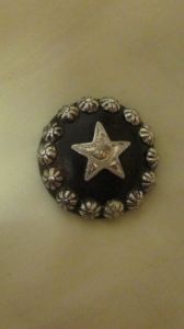 Star with Berries Concho