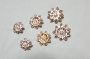 Silver Daisy Concho Earrings